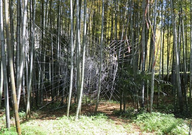 Les campings à Anduze, alliant confort et convivialité dans un cadre naturel